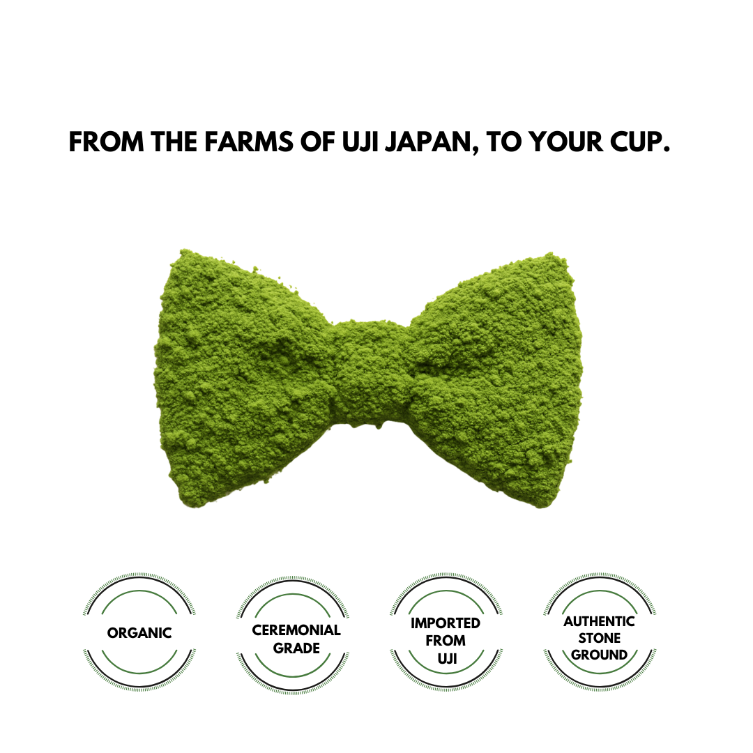 Organic Uji Matcha – Premium Japanese Green Tea Powder | 30g - Daniel's Chai Bar
